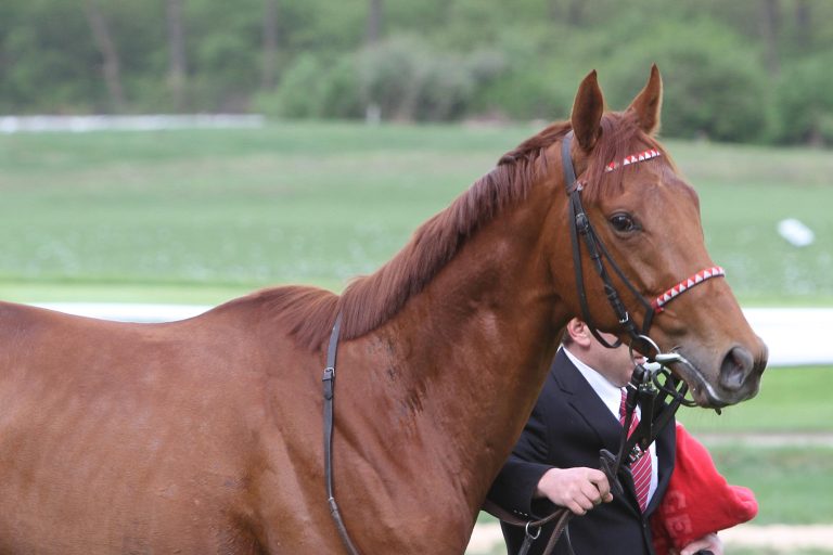 Stellato gewinnt sein zweites Rennen in Folge