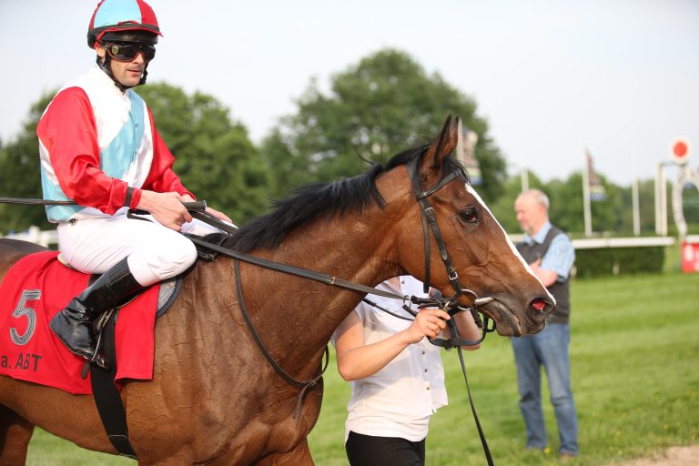 „Boxen auf“ im pfälzischen Hassloch