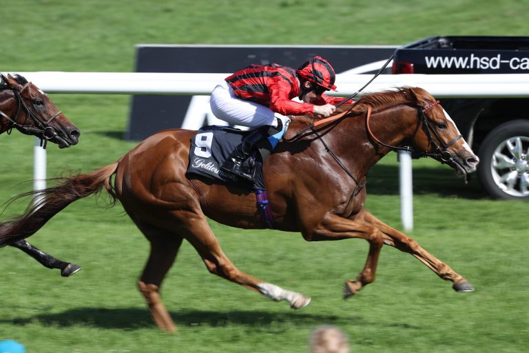 Vor vier Jahren war Stormy Antarctic siegreich