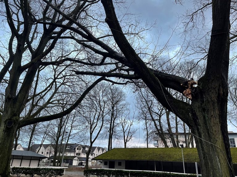 Sturm in Dortmund – Renntag soll aber stattfinden