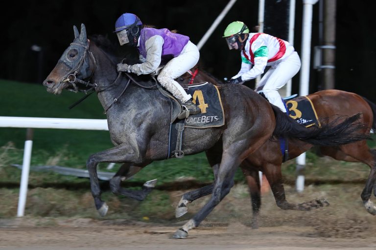 Iffezheimer Einlauf zum Start der Sandsaison