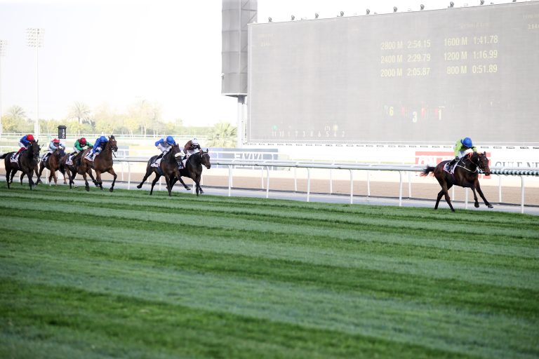 Super-Leistung! Walderbe Zweiter im Dubai Gold Cup
