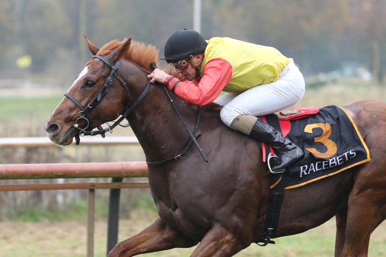 Summer Hill (Archiv)