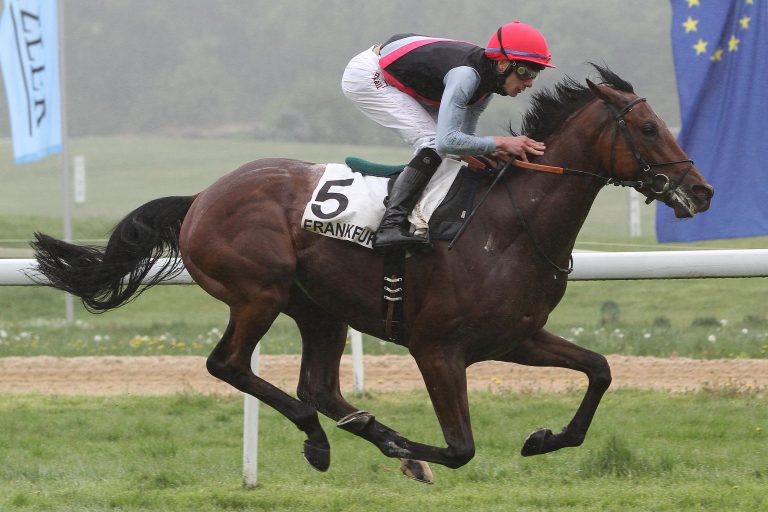 Summer Paradise empfiehlt sich für mehr