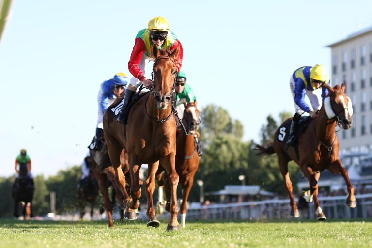 Für die Zucht – Summershine in die USA verkauft