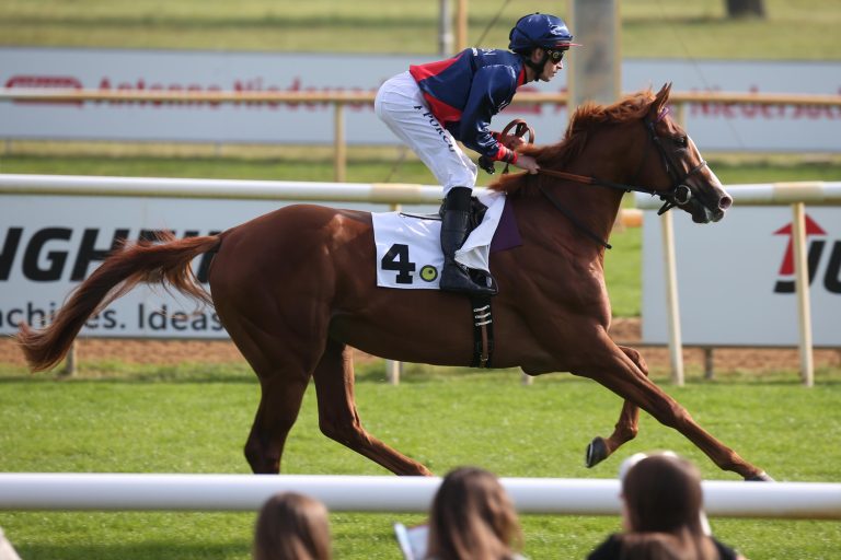 Sun at work macht Nedorostek-Doppel klar