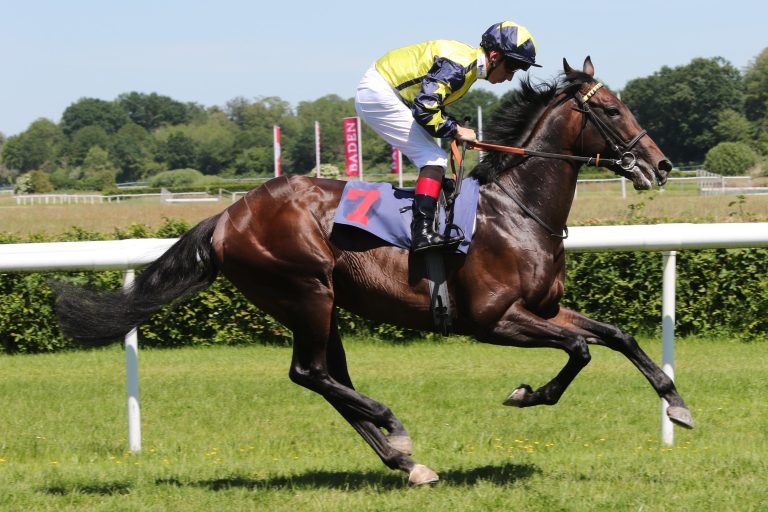 Surrey Thunder (Archiv)