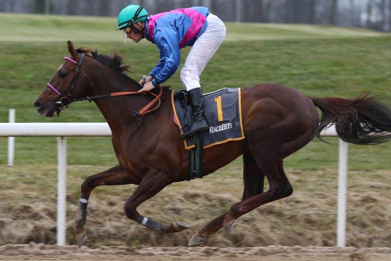 „Geldwechsler“ siegt zum Final-Auftakt in Wambel