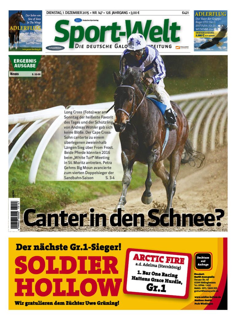 Das große Weihnachtsquiz in der Sport-Welt