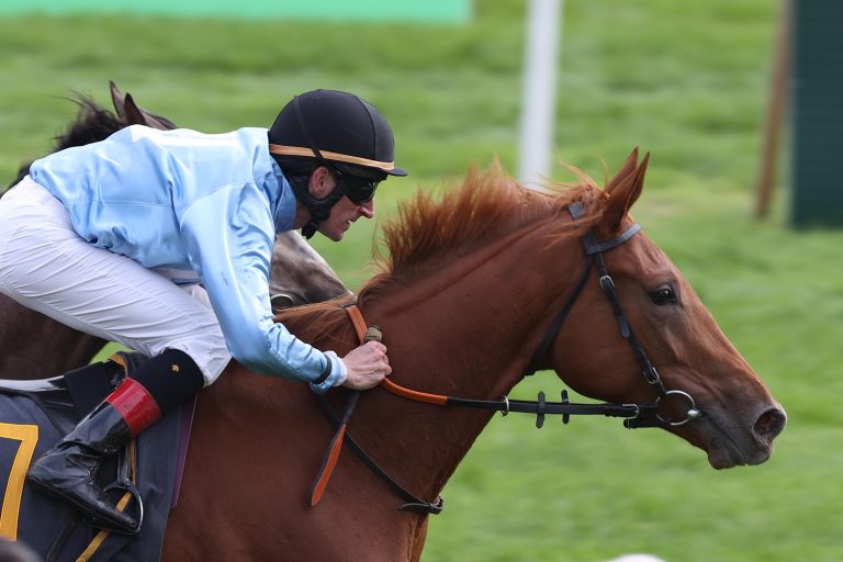 Klug Eins-Zwei: Sword Miss und Starke vorne