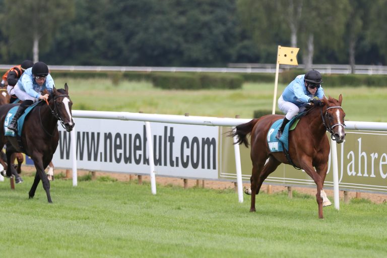 Wittekindshofer Youngster Eins-Zwei auf der neuen Bult