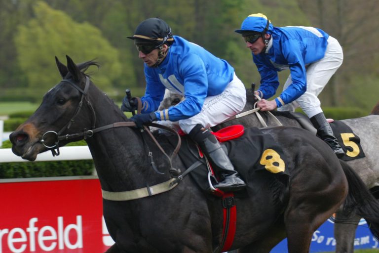 Lingfield-Sieger aus Wittekindshofer Zucht