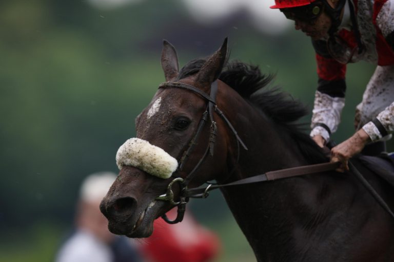 Sworn Solds Erstling auf der Hong Kong-Sale