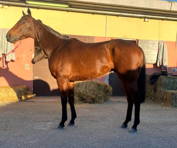 Hoffnungsträger Tag kommt nach Dortmund