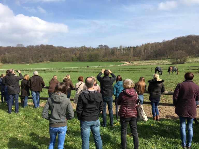 Tag der Rennställe mit guter Resonanz