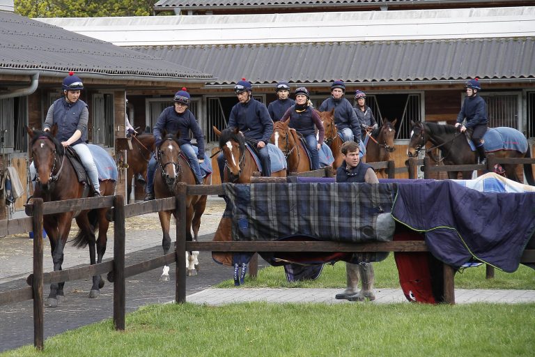 2.181 Pferde in Deutschland in Training