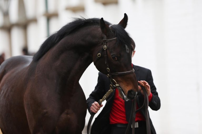 Tai Chi: Fünf Sieger von sechs Dreijährigen