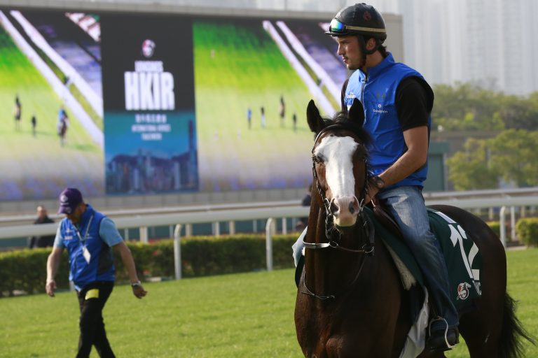 Talismanic beendet seine Rennkarriere