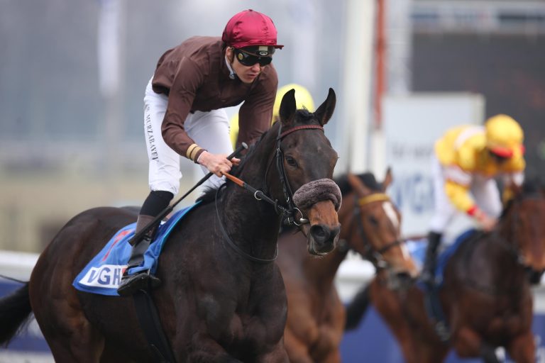 Volles Feld im Steher Cup – Taraja zu schlagen?