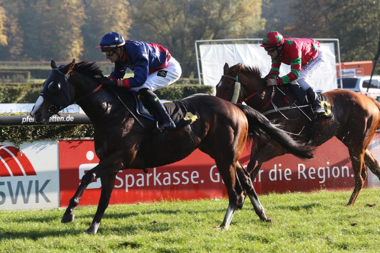 Stallform stimmt – Taron nächster Schiergen-Sieger