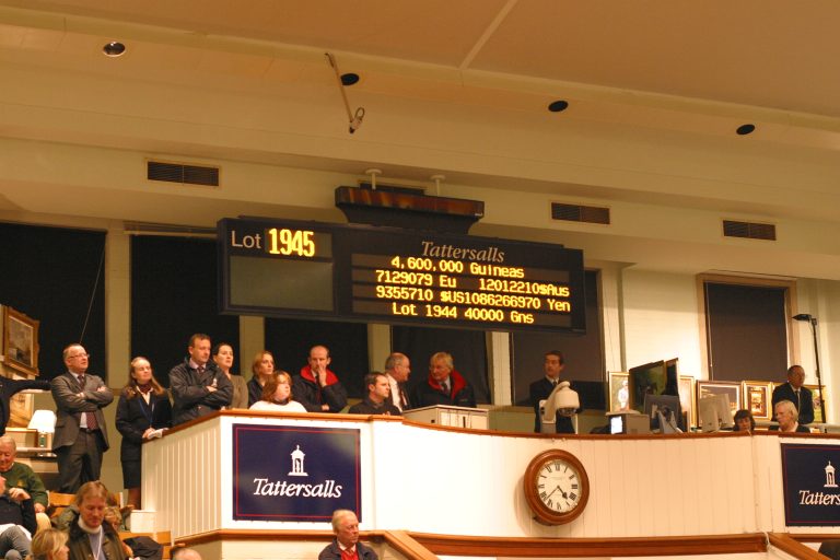 Brümmerhof erwirbt gruppeplatzierte Stute