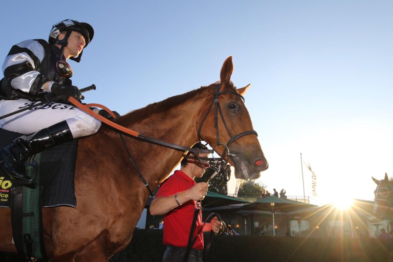 Tendresse am Mittwoch gegen zwei Ex-Deutsche