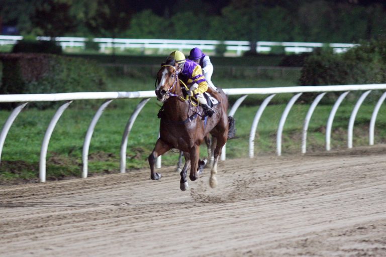 Dritte Runde auf Neusser Sand mit prallen Feldern