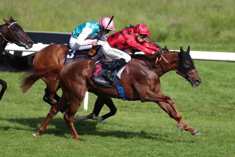 The Revenant (Archiv)