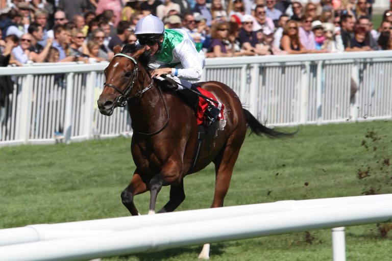 White & Red Racing kauft The Way Of Bonnie