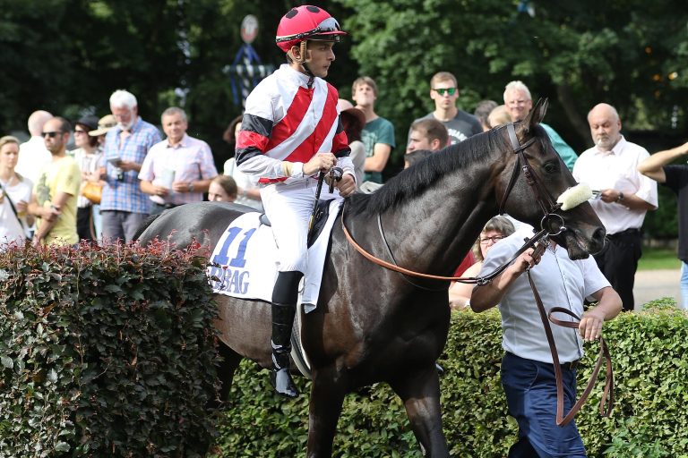 Theo gegen die Älteren im Großen Preis der Wirtschaft