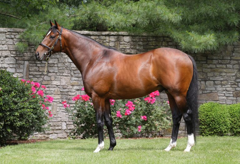 Thewayyouare mit 13 Jahren eingegangen