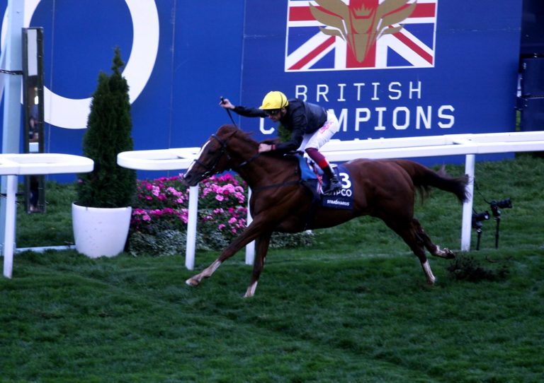 Stradivarius (Archiv)