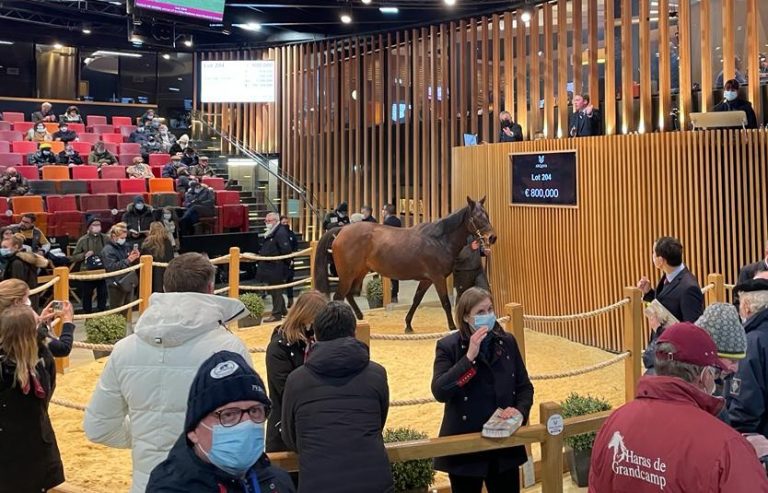 Görlsdorferin Tickle Me Green bringt 800.000 Euro