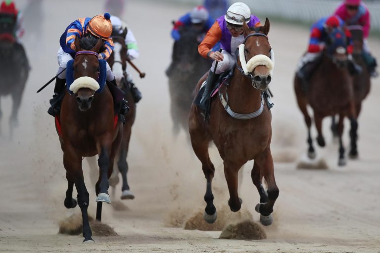 Tikthebox der erste Sandbahnsieger der Saison