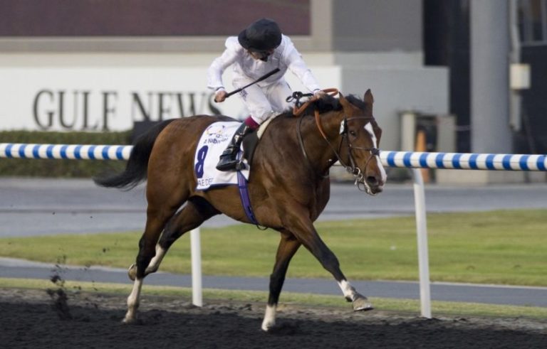 2017 gibt es „Mini-Brötchen“ in Katar