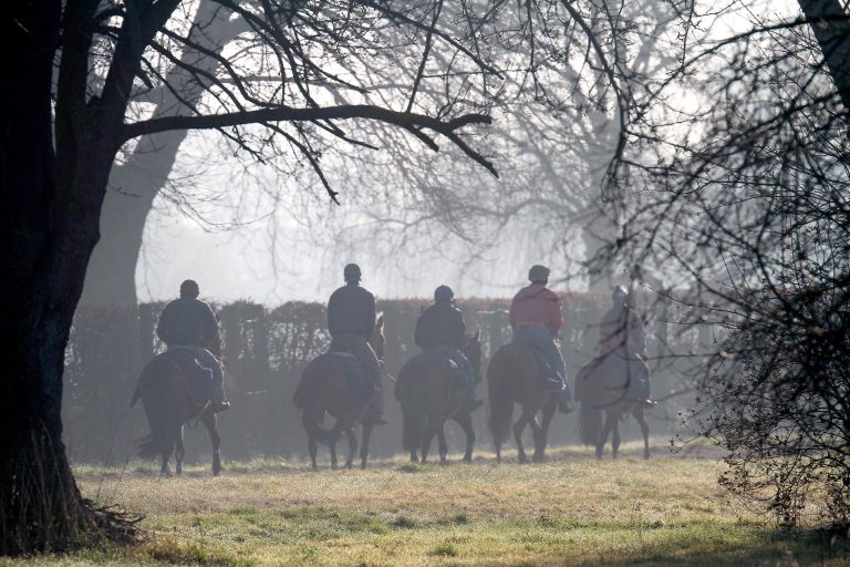 Toronado ist Favorit in der Breeders Cup Mile