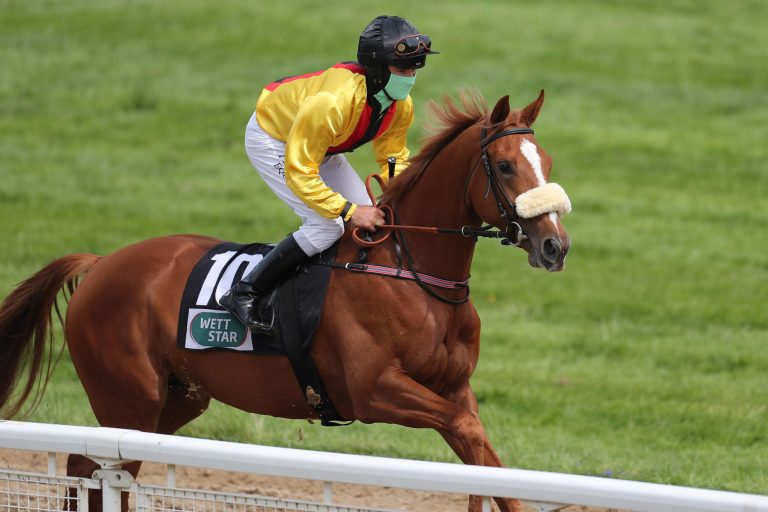 Torquator Tasso (Archiv)