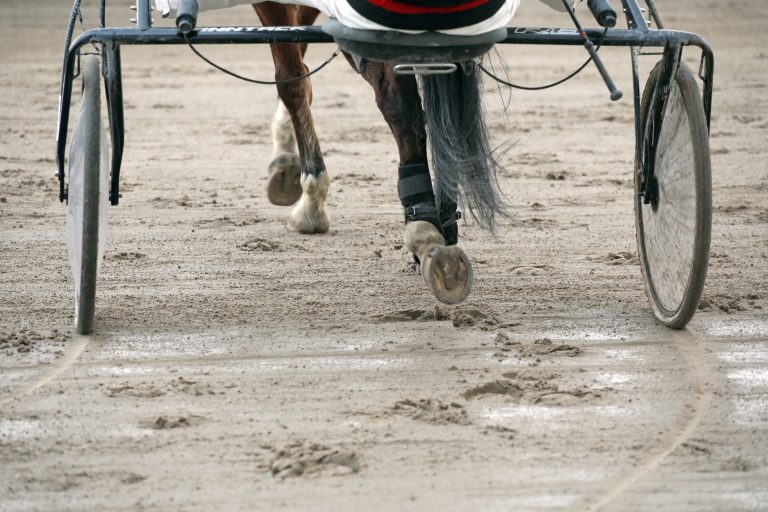 Kaum Galopp am Sonntag: Das sind die Gründe