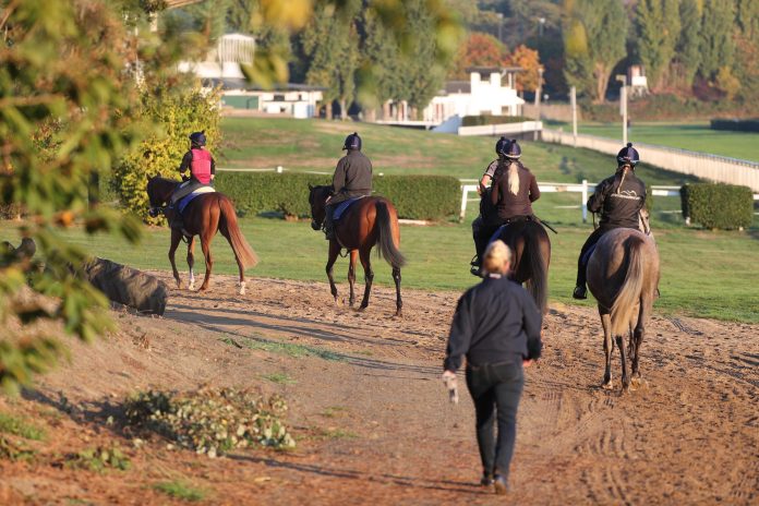 training_yasmin_almenraeder