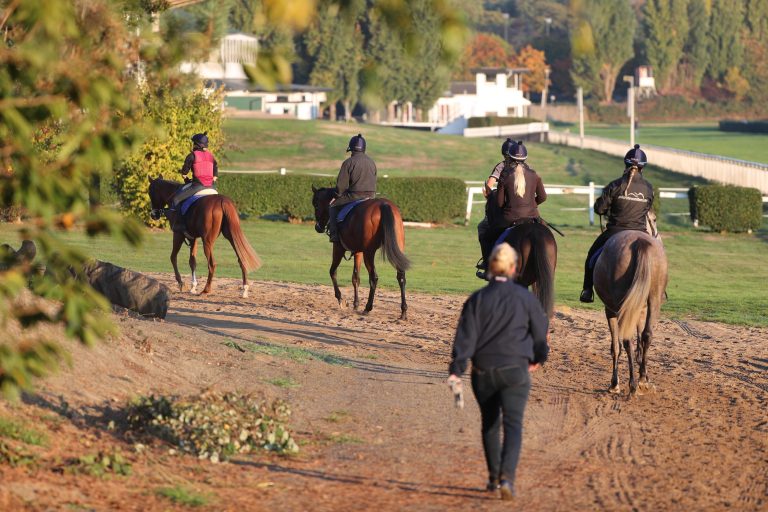 Countdown für den Tag der Rennställe läuft