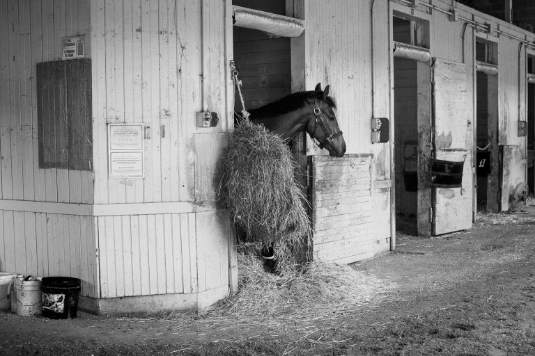 Living Legends – Caulfield-Cup Sieger Durston abgetreten