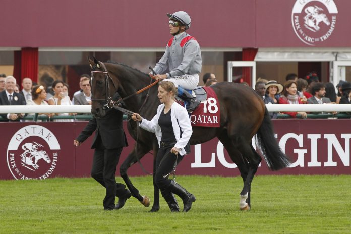 treve_1