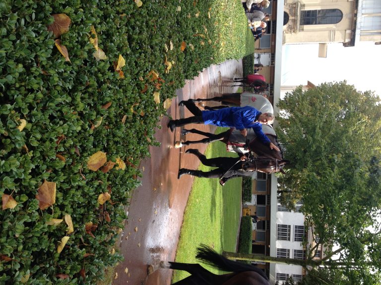 Bleibt Treve auch 2016 weiter im Training?