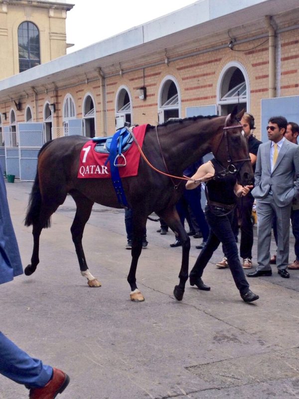 Kingman Treves nächster Partner