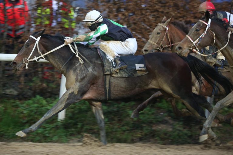 Neun Rennen und Hammer-Premiere in Wambel