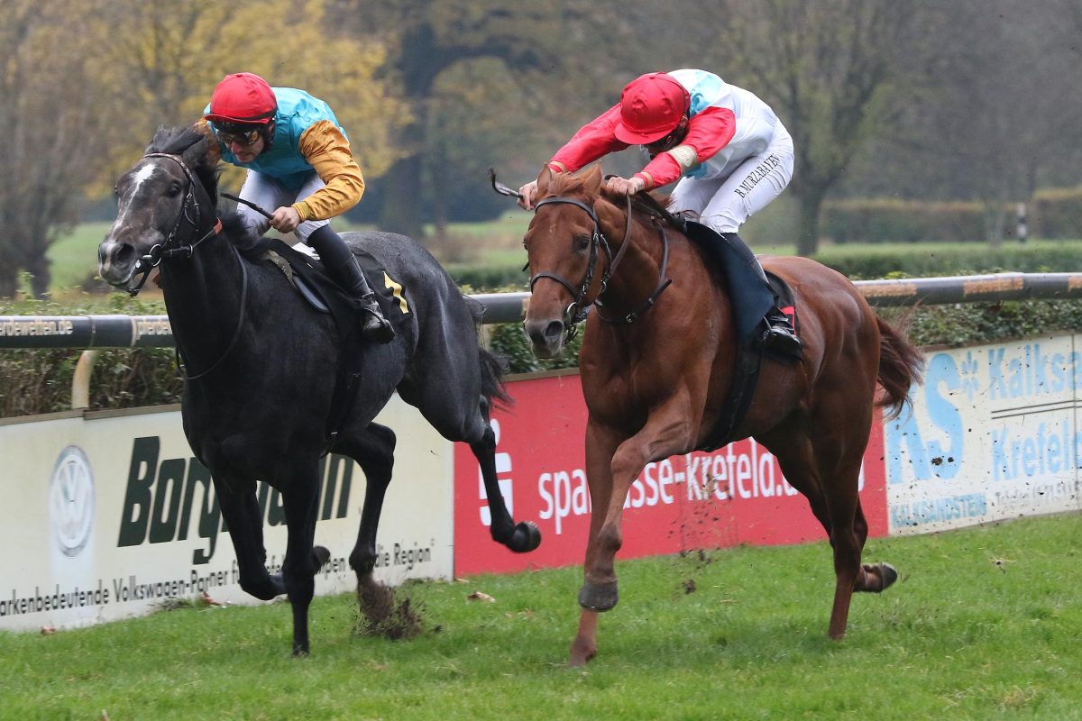 Trio mit GAG ab 99 Kilo Zuletzt 2017