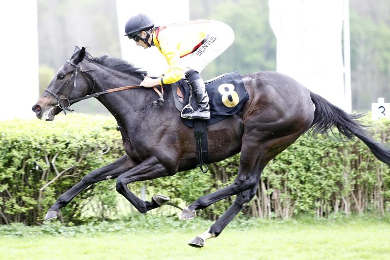 Stuten-Power! Turfdonna und Arles beeindrucken