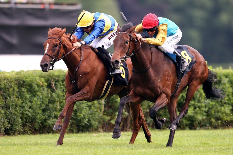 Stall Ullmanns Tusked Wings wachsen Flügel