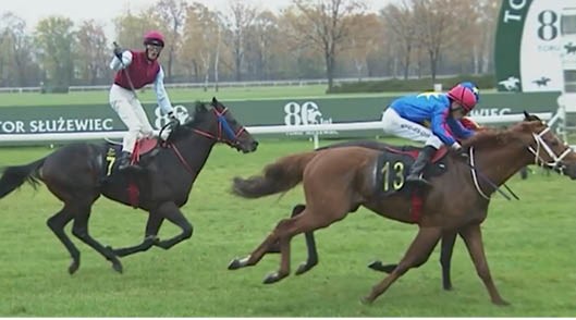Jubelt der „Jubeljockey“ auch in Dresden?
