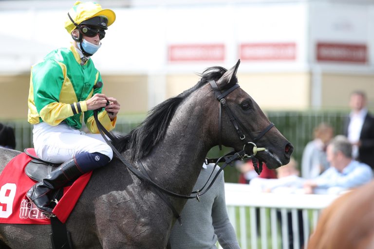 Utamaro bei seinem Debüt im September 2020